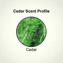 Cedar Beard Balm