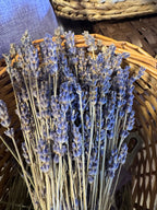 Eitan and his wife at Azizo lavender farm, Golan Heights