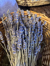 Eitan and his wife at Azizo lavender farm, Golan Heights