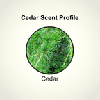Man with full majestic beard using Aleph Male Cedar beard balm