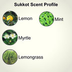 Aleph Male Sukkot scent profile card — lemon, lemongrass, myrtle and mint essential oils
